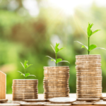 economic sense assistance
